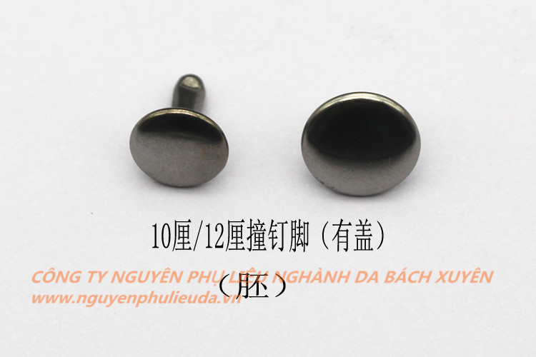 Đinh cố định
