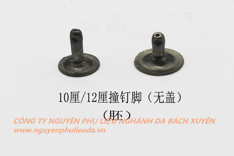 Đinh cố định