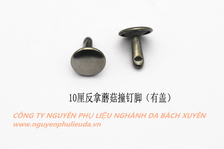 Đinh cố định