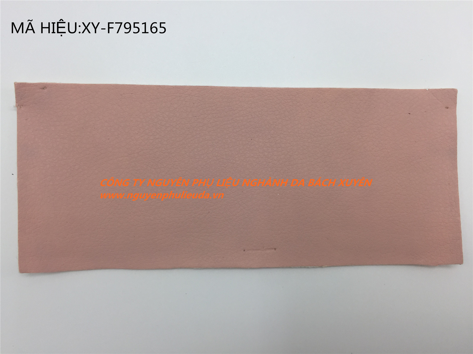 XY-F795165